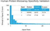 Analysis of HuProt(TM) microarray containing more than 19,000 full-length human proteins using recombinant Napsin A antibody (clone NAPSA/4400R). These results demonstrate the foremost specificity of the NAPSA/4400R mAb. Z- and S- score: The Z-score represents the strength of a signal that an antibody (in combination with a fluorescently-tagged anti-IgG secondary Ab) produces when binding to a particular protein on the HuProt(TM) array. Z-scores are described in units of standard deviations (SD's) above the mean value of all signals generated on that array. If the targets on the HuProt(TM) are arranged in descending order of the Z-score, the S-score is the difference (also in units of SD's) between the Z-scores. The S-score therefore represents the relative target specificity of an Ab to its intended target.
