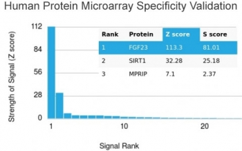 Analysis of HuProt(TM) microarray containing more than 19,000 full-length human proteins using FGF23 antibody. These results demonstrate the foremost specificity of the FGF23/4168 mAb. Z- and S- score: The Z-score represents the strength of a signal that an antibody (in combination with a fluorescently-tagge