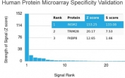 Analysis of HuProt(TM) microarray containing more than 19,000 full-length human proteins using INSM2 antibody. These results demonstrate the foremost specificity of the INSM2/4291 mAb. Z- and S- score: The Z-score represents the strength of a signal that an antibody (in combination with a fluorescently-tagged anti-IgG secondary Ab) produces when binding to a particular protein on the HuProt(TM) array. Z-scores are described in units of standard deviations (SD's) above the mean value of all signals generated on that array. If the targets on the HuProt(TM) are arranged in descending order of the Z-score, the S-score is the difference (also in units of SD's) between the Z-scores. The S-score therefore represents the relative target specificity of an Ab to its intended target.