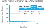 Analysis of HuProt(TM) microarray containing more than 19,000 full-length human proteins using TIM3 antibody. These results demonstrate the foremost specificity of the TIM3/4031 mAb. Z- and S- score: The Z-score represents the strength of a signal that an antibody (in combination with a fluorescently-tagged anti-IgG secondary Ab) produces when binding to a particular protein on the HuProt(TM) array. Z-scores are described in units of standard deviations (SD's) above the mean value of all signals generated on that array. If the targets on the HuProt(TM) are arranged in descending order of the Z-score, the S-score is the difference (also in units of SD's) between the Z-scores. The S-score therefore represents the relative target specificity of an Ab to its intended target.