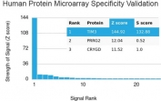 Analysis of HuProt(TM) microarray containing more than 19,000 full-length human proteins using TIM3 antibody. These results demonstrate the foremost specificity of the TIM3/4025 mAb. Z- and S- score: The Z-score represents the strength of a signal that an antibody (in combination with a fluorescently-tagged anti-IgG secondary Ab) produces when binding to a particular protein on the HuProt(TM) array. Z-scores are described in units of standard deviations (SD's) above the mean value of all signals generated on that array. If the targets on the HuProt(TM) are arranged in descending order of the Z-score, the S-score is the difference (also in units of SD's) between the Z-scores. The S-score therefore represents the relative target specificity of an Ab to its intended target.