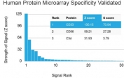 Analysis of HuProt(TM) microarray containing more than 19,000 full-length human proteins using CD33 antibody (clone SIGLEC3/3600). These results demonstrate the foremost specificity of the SIGLEC3/3600 mAb. Z- and S- score: The Z-score represents the strength of a signal that an antibody (in combination with a fluorescently-tagged anti-IgG secondary Ab) produces when binding to a particular protein on the HuProt(TM) array. Z-scores are described in units of standard deviations (SD's) above the mean value of all signals generated on that array. If the targets on the HuProt(TM) are arranged in descending order of the Z-score, the S-score is the difference (also in units of SD's) between the Z-scores. The S-score therefore represents the relative target specificity of an Ab to its intended target.