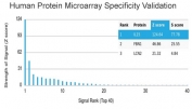 Analysis of HuProt(TM) microarray containing more than 19,000 full-length human proteins using IL15 antibody (clone IL15/4355). These results demonstrate the foremost specificity of the IL15/4355 mAb. Z- and S- score: The Z-score represents the strength of a signal that an antibody (in combination with a fluorescently-tagged anti-IgG secondary Ab) produces when binding to a particular protein on the HuProt(TM) array. Z-scores are described in units of standard deviations (SD's) above the mean value of all signals generated on that array. If the targets on the HuProt(TM) are arranged in descending order of the Z-score, the S-score is the difference (also in units of SD's) between the Z-scores. The S-score therefore represents the relative target specificity of an Ab to its intended target.