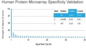 Analysis of HuProt(TM) microarray containing more than 19,000 full-length human proteins using Macrophage migration inhibitory factor antibody (clone MIF/3488). These results demonstrate the foremost specificity of the MIF/3488 mAb. Z- and S- score: The Z-score represents the strength of a signal that an antibody (in combination with a fluorescently-tagged anti-IgG secondary Ab) produces when binding to a particular protein on the HuProt(TM) array. Z-scores are described in units of standard deviations (SD's) above the mean value of all signals generated on that array. If the targets on the HuProt(TM) are arranged in descending order of the Z-score, the S-score is the difference (also in units of SD's) between the Z-scores. The S-score therefore represents the relative target specificity of an Ab to its intended target.