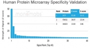 Analysis of HuProt(TM) microarray containing more than 19,000 full-length human proteins using MITF antibody (clone PCRP-MITF-1D9). These results demonstrate the foremost specificity of the PCRP-MITF-1D9 mAb. Z- and S- score: The Z-score represents the strength of a signal that an antibody (in combination with a fluorescently-tagged anti-IgG secondary Ab) produces when binding to a particular protein on the HuProt(TM) array. Z-scores are described in units of standard deviations (SD's) above the mean value of all signals generated on that array. If the targets on the HuProt(TM) are arranged in descending order of the Z-score, the S-score is the difference (also in units of SD's) between the Z-scores. The S-score therefore represents the relative target specificity of an Ab to its intended target.