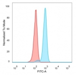 FACS staining of PFA-fixed human HeLa cells with IRF3 antibody (blue, clone PCRP-IRF3-3B2) and isotype control (red).