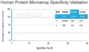 Analysis of HuProt(TM) microarray containing more than 19,000 full-length human proteins using Carbonic Anhydrase VIII antibody (clone CA8/6572). These results demonstrate the foremost specificity of the CA8/6572 mAb. Z- and S- score: The Z-score represents the strength of a signal that an antibody (in combination with a fluorescently-tagged anti-IgG secondary Ab) produces when binding to a particular protein on the HuProt(TM) array. Z-scores are described in units of standard deviations (SD's) above the mean value of all signals generated on that array. If the targets on the HuProt(TM) are arranged in descending order of the Z-score, the S-score is the difference (also in units of SD's) between the Z-scores. The S-score therefore represents the relative target specificity of an Ab to its intended target.