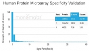 Analysis of HuProt(TM) microarray containing more than 19,000 full-length human proteins using CD40L antibody (clone CD40LG/4675). These results demonstrate the foremost specificity of the CD40LG/4675 mAb. Z- and S- score: The Z-score represents the strength of a signal that an antibody (in combination with a fluorescently-tagged anti-IgG secondary Ab) produces when binding to a particular protein on the HuProt(TM) array. Z-scores are described in units of standard deviations (SD's) above the mean value of all signals generated on that array. If the targets on the HuProt(TM) are arranged in descending order of the Z-score, the S-score is the difference (also in units of SD's) between the Z-scores. The S-score therefore represents the relative target specificity of an Ab to its intended target.