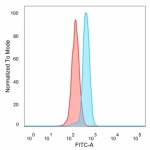 FACS staining of PFA-fixed human HeLa cells with SMAD9 antibody (blue, clone PCRP-SMAD9-2F4) and isotype control (red).