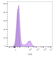 CD16 Antibody PBMC FACS. Flow cytometry analysis of lymphocyte-gated human peripheral blood mononuclear cells stained with CD16 antibody clone C16/1045 (violet). A distinct rightward fluorescence shift is observed relative to unstained control cells (gray), consistent with surface expression of FCGR3 / CD16 on immune cell populations involved in Fc-mediated cytotoxicity and innate immune signaling pathways.
