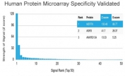 Analysis of HuProt(TM) microarray containing more than 19,000 full-length human proteins using MERTK antibody (clone MERTK/3024). These results demonstrate the foremost specificity of the MERTK/3024 mAb. Z- and S- score: The Z-score represents the strength of a signal that an antibody (in combination with a fluorescently-tagged anti-IgG secondary Ab) produces when binding to a particular protein on the HuProt(TM) array. Z-scores are described in units of standard deviations (SD's) above the mean value of all signals generated on that array. If the targets on the HuProt(TM) are arranged in descending order of the Z-score, the S-score is the difference (also in units of SD's) between the Z-scores. The S-score therefore represents the relative target specificity of an Ab to its intended target.