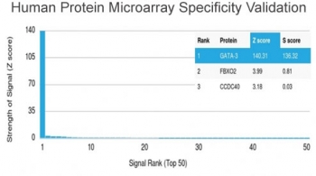 Analysis of HuProt(TM) microarray containing more than 19,000 full-length human proteins using GATA3 antibody (clone GATA3/2441). These results demonstrate the foremost specificity of the GATA3/2441 mAb. Z- and S- score: The Z-score represents the strength of a signal that an antibody (in combination with a