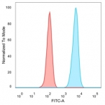 FACS staining of PFA-fixed human HeLa cells with PBX1 antibody (blue, clone PCRP-PBX1-3C8) and isotype control (red).