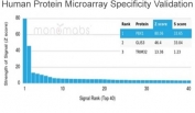 Analysis of HuProt(TM) microarray containing more than 19,000 full-length human proteins using PBX1 antibody (clone PCRP-PBX1-3C8). These results demonstrate the foremost specificity of the PCRP-PBX1-3C8 mAb. Z- and S- score: The Z-score represents the strength of a signal that an antibody (in combination with a fluorescently-tagged anti-IgG secondary Ab) produces when binding to a particular protein on the HuProt(TM) array. Z-scores are described in units of standard deviations (SD's) above the mean value of all signals generated on that array. If the targets on the HuProt(TM) are arranged in descending order of the Z-score, the S-score is the difference (also in units of SD's) between the Z-scores. The S-score therefore represents the relative target specificity of an Ab to its intended target.