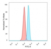 FACS staining of PFA-fixed human HeLa cells with ETS2 antibody (blue, clone PCRP-ETS2-1D9) and isotype control (red).