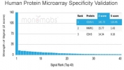 Analysis of HuProt(TM) microarray containing more than 19,000 full-length human proteins using CD35 antibody (clone CR1/6380). These results demonstrate the foremost specificity of the CR1/6380 mAb. Z- and S- score: The Z-score represents the strength of a signal that an antibody (in combination with a fluorescently-tagged anti-IgG secondary Ab) produces when binding to a particular protein on the HuProt(TM) array. Z-scores are described in units of standard deviations (SD's) above the mean value of all signals generated on that array. If the targets on the HuProt(TM) are arranged in descending order of the Z-score, the S-score is the difference (also in units of SD's) between the Z-scores. The S-score therefore represents the relative target specificity of an Ab to its intended target.