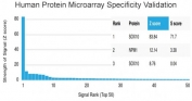 Analysis of HuProt(TM) microarray containing more than 19,000 full-length human proteins using SOX10 antibody (clone PCRP-SOX10-1D8). These results demonstrate the foremost specificity of the PCRP-SOX10-1D8 mAb. Z- and S- score: The Z-score represents the strength of a signal that an antibody (in combination with a fluorescently-tagged anti-IgG secondary Ab) produces when binding to a particular protein on the HuProt(TM) array. Z-scores are described in units of standard deviations (SD's) above the mean value of all signals generated on that array. If the targets on the HuProt(TM) are arranged in descending order of the Z-score, the S-score is the difference (also in units of SD's) between the Z-scores. The S-score therefore represents the relative target specificity of an Ab to its intended target.