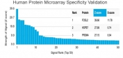 Analysis of HuProt(TM) microarray containing more than 19,000 full-length human proteins using FRA2 antibody (clone PCRP-FOSL2-1B1). These results demonstrate the foremost specificity of the PCRP-FOSL2-1B1 mAb. Z- and S- score: The Z-score represents the strength of a signal that an antibody (in combination with a fluorescently-tagged anti-IgG secondary Ab) produces when binding to a particular protein on the HuProt(TM) array. Z-scores are described in units of standard deviations (SD's) above the mean value of all signals generated on that array. If the targets on the HuProt(TM) are arranged in descending order of the Z-score, the S-score is the difference (also in units of SD's) between the Z-scores. The S-score therefore represents the relative target specificity of an Ab to its intended target.