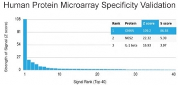Analysis of HuProt(TM) microarray containing more than 19,000 full-length human proteins using GMNN antibody (clone GMNN/3665). These results demonstrate the foremost specificity of the GMNN/3665 mAb. Z- and S- score: The Z-score represents the strength of a signal that an antibody (in combination with a fluorescently-tagged anti-IgG secondary Ab) produces when binding to a particular protein on the HuProt(TM) array. Z-scores are described in units of standard deviations (SD's) above the mean value of all signals generated on that array. If the targets on the HuProt(TM) are arranged in descending order of the Z-score, the S-score is the difference (also in units of SD's) between the Z-scores. The S-score therefore represents the relative target specificity of an Ab to its intended target.