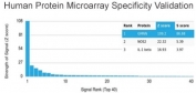 Analysis of HuProt(TM) microarray containing more than 19,000 full-length human proteins using GMNN antibody (clone GMNN/3665). These results demonstrate the foremost specificity of the GMNN/3665 mAb. Z- and S- score: The Z-score represents the strength of a signal that an antibody (in combination with a fluorescently-tagged anti-IgG secondary Ab) produces when binding to a particular protein on the HuProt(TM) array. Z-scores are described in units of standard deviations (SD's) above the mean value of all signals generated on that array. If the targets on the HuProt(TM) are arranged in descending order of the Z-score, the S-score is the difference (also in units of SD's) between the Z-scores. The S-score therefore represents the relative target specificity of an Ab to its intended target.