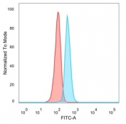 FACS staining of PFA-fixed human HeLa cells with CBFB antibody (blue, clone PCRP-CBFB-1F6) and isotype control (red).