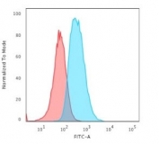 Flow cytometry testing of permeabilized human T98G cells with Glial Fibrillary Acidic Protein antibody (clone SPM248); Red=isotype control, Blue= Glial Fibrillary Acidic Protein antibody.