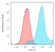 Flow cytometry testing of PFA-fixed human MCF7 cells with HSP27 antibody (clone SPM252); Red=isotype control, Blue= HSP27 antibody.