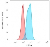 Flow cytometry testing of fixed mouse RAW cells with Cytokeratin 6 antibody (clone SPM269); Red=isotype control, Blue= Cytokeratin 6 antibody.