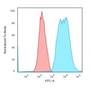 Flow cytometry testing of MeOH fixed human HeLa cells with Cytokeratin 8 antibody (clone SPM538); Red=isotype control, Blue= Cytokeratin 8 antibody.