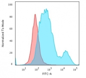 Flow cytometry testing of PFA-fixed human HeLa cells with anti-Cytokeratin 18 antibody (clone SPM510); Red=isotype control, Blue= anti-Cytokeratin 18 antibody.