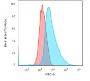 Flow cytometry testing of PFA fixed human HeLa cells with Cytokeratin 17 antibody (clone SPM560); Red=isotype control, Blue= Cytokeratin 17 antibody.