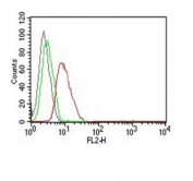 Flow Cytometry testing of MCF-7 cells. Black: cells alone; Green: isotype control; Red: PE-labeled Cyclin D1 antibody (clone SPM587).