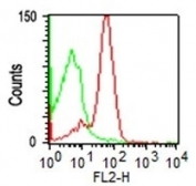 Flow cytometry testing of human PBM cells with CD43 antibody (clone SPM503); Green=isotype control, Red= CD43 antibody.
