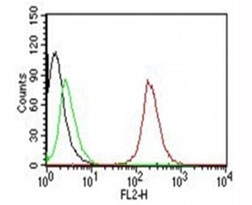 Flow Cytometry testing of MCF-7 cells. Black: cells alone; Green: isotype control; Red: <a href=../tds/cd63-antibody-spm524-v3026pe>PE-labeled anti-CD63 antibody (SPM524)</a>.