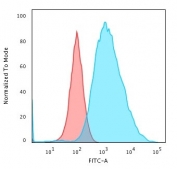 Flow cytometry testing of MeOH fixed human MCF7 cells with Cytokeratin 19 antibody (clone SPM561); Red=isotype control, Blue= Cytokeratin 19 antibody.