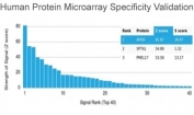 Analysis of HuProt(TM) microarray containing more than 19,000 full-length human proteins using APOD antibody (clone APOD/3415). These results demonstrate the foremost specificity of the APOD/3415 mAb. Z- and S- score: The Z-score represents the strength of a signal that an antibody (in combination with a fluorescently-tagged anti-IgG secondary Ab) produces when binding to a particular protein on the HuProt(TM) array. Z-scores are described in units of standard deviations (SD's) above the mean value of all signals generated on that array. If the targets on the HuProt(TM) are arranged in descending order of the Z-score, the S-score is the difference (also in units of SD's) between the Z-scores. The S-score therefore represents the relative target specificity of an Ab to its intended target.