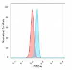 FACS staining of PFA-fixed human HeLa cells with IRF3 antibody (blue, clone PCRP-IRF3-1D11), and unstained cells (red).