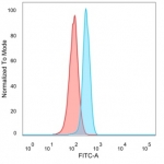 FACS staining of PFA-fixed human HeLa cells with CTBP2 antibody (blue, clone PCRP-CTBP2-1A9), and unstained cells (red).