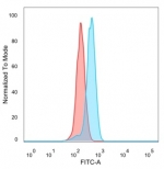 FACS staining of PFA-fixed human HeLa cells with C-terminal-binding protein 2 antibody (blue, clone PCRP-CTBP2-2D11), and unstained cells (red).