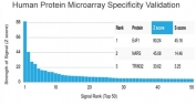 Analysis of HuProt(TM) microarray containing more than 19,000 full-length human proteins using E4F1 antibody (clone PCRP-E4F1-2D1). These results demonstrate the foremost specificity of the PCRP-E4F1-2D1 mAb. Z- and S- score: The Z-score represents the strength of a signal that an antibody (in combination with a fluorescently-tagged anti-IgG secondary Ab) produces when binding to a particular protein on the HuProt(TM) array. Z-scores are described in units of standard deviations (SD's) above the mean value of all signals generated on that array. If the targets on the HuProt(TM) are arranged in descending order of the Z-score, the S-score is the difference (also in units of SD's) between the Z-scores. The S-score therefore represents the relative target specificity of an Ab to its intended target.