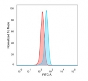 FACS staining of PFA-fixed human HeLa cells with BTF2 p44 antibody (blue, clone PCRP-GTF2H2-1B9), and unstained cells (red).