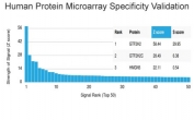 Analysis of HuProt(TM) microarray containing more than 19,000 full-length human proteins using BTF2 p44 antibody (clone PCRP-GTF2H2-1B9). These results demonstrate the foremost specificity of the PCRP-GTF2H2-1B9 mAb. Z- and S- score: The Z-score represents the strength of a signal that an antibody (in combination with a fluorescently-tagged anti-IgG secondary Ab) produces when binding to a particular protein on the HuProt(TM) array. Z-scores are described in units of standard deviations (SD's) above the mean value of all signals generated on that array. If the targets on the HuProt(TM) are arranged in descending order of the Z-score, the S-score is the difference (also in units of SD's) between the Z-scores. The S-score therefore represents the relative target specificity of an Ab to its intended target.