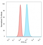 FACS staining of PFA-fixed human HeLa cells with JUNB antibody (blue, clone PCRP-JUNB-3G11), and unstained cells (red).