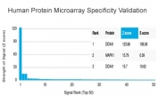 Analysis of HuProt(TM) microarray containing more than 19,000 full-length human proteins using DDX41 antibody (clone PCRP-DDX41-1B4). These results demonstrate the foremost specificity of the PCRP-DDX41-1B4 mAb. Z- and S- score: The Z-score represents the strength of a signal that an antibody (in combination with a fluorescently-tagged anti-IgG secondary Ab) produces when binding to a particular protein on the HuProt(TM) array. Z-scores are described in units of standard deviations (SD's) above the mean value of all signals generated on that array. If the targets on the HuProt(TM) are arranged in descending order of the Z-score, the S-score is the difference (also in units of SD's) between the Z-scores. The S-score therefore represents the relative target specificity of an Ab to its intended target.