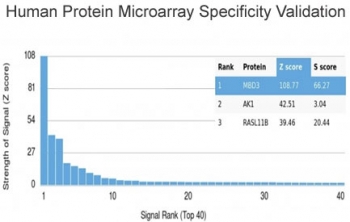 Analysis of HuProt(TM) microarray containing more than 19,000 full-length human proteins using MBD3 antibody (clone PCRP-MBD3-1C4). These results demonstrate the foremost specificity of the PCRP-MBD3-1C4 mAb. Z- and S- score: The Z-score represents the strength of a signal that an antibody (in combination with a fluorescently-tagged anti-IgG secondary Ab) produces when binding to a particular protein on the HuProt(TM) array. Z-scores are described in units of standard deviations (SD's) above the mean value of all signals generated on that array. If the targets on the HuProt(TM) are arranged in descending order of the Z-score, the S-score is the difference (also in units of SD's) between the Z-scores. The S-score therefore represents the relative target specificity of an Ab to its intended target.