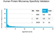 Analysis of HuProt(TM) microarray containing more than 19,000 full-length human proteins using HOMEZ antibody (clone PCRP-HOMEZ-1B5). These results demonstrate the foremost specificity of the PCRP-HOMEZ-1B5 mAb. Z- and S- score: The Z-score represents the strength of a signal that an antibody (in combination with a fluorescently-tagged anti-IgG secondary Ab) produces when binding to a particular protein on the HuProt(TM) array. Z-scores are described in units of standard deviations (SD's) above the mean value of all signals generated on that array. If the targets on the HuProt(TM) are arranged in descending order of the Z-score, the S-score is the difference (also in units of SD's) between the Z-scores. The S-score therefore represents the relative target specificity of an Ab to its intended target.