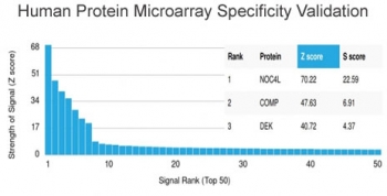 Analysis of HuProt(TM) microarray containing more than 19,000 full-length human proteins using NOC4L antibody (clone PCRP-NOC4L-1E3). These results demonstrate the foremost specificity of the PCRP-NOC4L-1E3 mAb. Z- and S- score: The Z-score represents the strength of a signal that an antibody (in combination with a fluorescently-tagged anti-IgG secondary Ab) produces when binding to a particular protein on the HuProt(TM) array. Z-scores are described in units of standard deviations (SD's) above the mean value of all signals generated on that array. If the targets on the HuProt(TM) are arranged in descending order of the Z-score, the S-score is the difference (also in units of SD's) between the Z-scores. The S-score therefore represents the relative target specificity of an Ab to its intended target.
