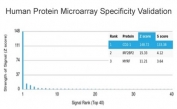 Analysis of HuProt(TM) microarray containing more than 19,000 full-length human proteins using CD2 antibody (clone LFA2/7102). These results demonstrate the foremost specificity of the LFA2/7102 mAb. Z- and S- score: The Z-score represents the strength of a signal that an antibody (in combination with a fluorescently-tagged anti-IgG secondary Ab) produces when binding to a particular protein on the HuProt(TM) array. Z-scores are described in units of standard deviations (SD's) above the mean value of all signals generated on that array. If the targets on the HuProt(TM) are arranged in descending order of the Z-score, the S-score is the difference (also in units of SD's) between the Z-scores. The S-score therefore represents the relative target specificity of an Ab to its intended target.