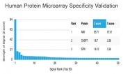 Analysis of HuProt(TM) microarray containing more than 19,000 full-length human proteins using N-Myc Interactor antibody (clone PCRP-NMI-1C1). These results demonstrate the foremost specificity of the PCRP-NMI-1C1 mAb. Z- and S- score: The Z-score represents the strength of a signal that an antibody (in combination with a fluorescently-tagged anti-IgG secondary Ab) produces when binding to a particular protein on the HuProt(TM) array. Z-scores are described in units of standard deviations (SD's) above the mean value of all signals generated on that array. If the targets on the HuProt(TM) are arranged in descending order of the Z-score, the S-score is the difference (also in units of SD's) between the Z-scores. The S-score therefore represents the relative target specificity of an Ab to its intended target.
