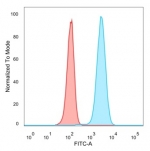 FACS staining of PFA-fixed human HeLa cells with CREB5 antibody (blue, clone PCRP-CREB5-1G8), and unstained cells (red).